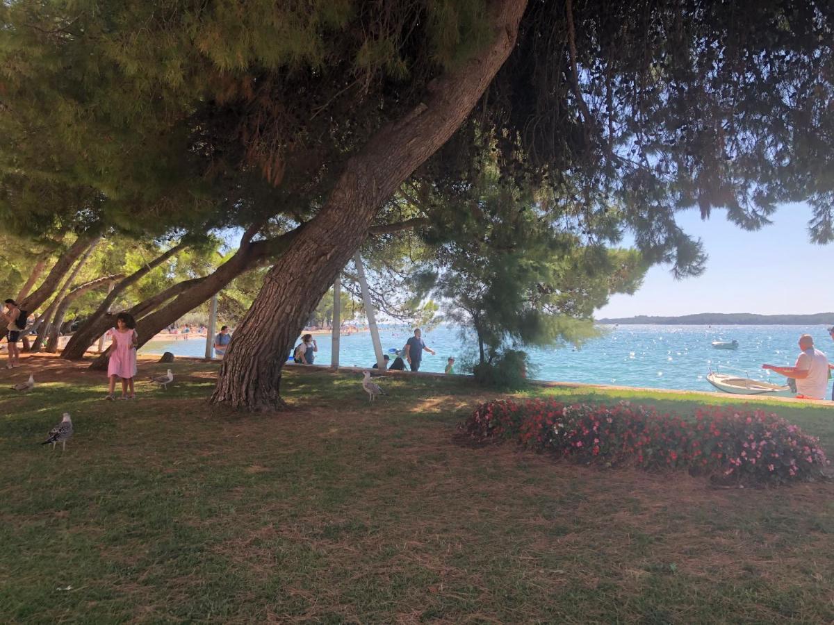 Istrian Stone House In The Heart Of The Beautiful Fishing Village Fazana - Only Few Steps From The Sea And The Wonderful Beach - Incl Plasma-Quad-Plus-Filter Against C O V I D Екстер'єр фото